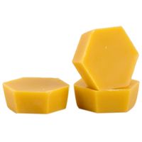 Simply Bee Beeswax Burner Blocks